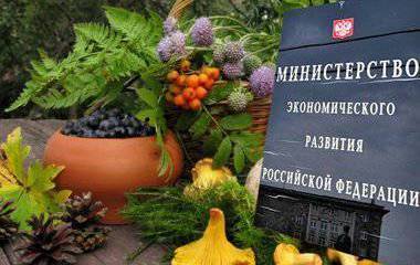 Министерская клюква