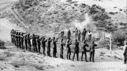 Децимация по-украински