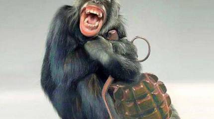 Бандеровец с ядерным реактором хуже обезьяны с гранатой