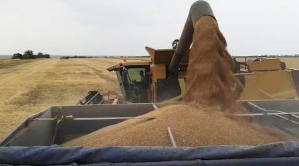 В Иране: лишь 13 процентов торговли с РФ идёт в нацвалютах, это нужно менять