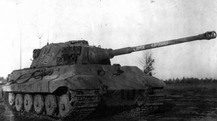 Мотивированная жестокость. Скорбные приключения «Королевского тигра» в Кубинке