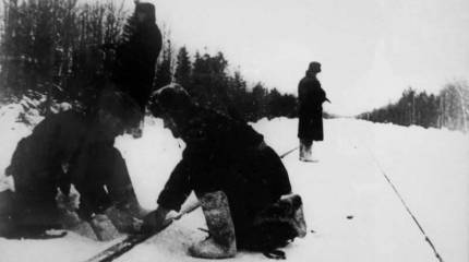 Европейское движение сопротивления: миф и реальность