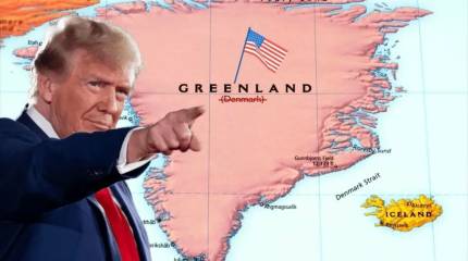 Как президент Трамп узнал, что морские котики совсем не похожи на котиков с американских улиц и морских котиков из американской армии