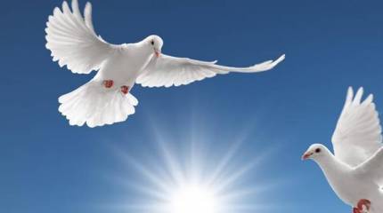 Возможна ли федерализация Украины сейчас?