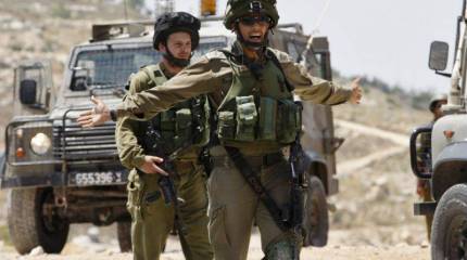 Из рода Ласковых