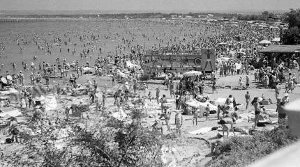 Почему советские граждане не боялись вирусов и микробов?