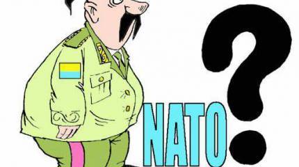 На Украине начат сбор подписей о проведении референдума по вступлению в НАТО