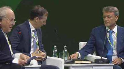 Россия — родина слонов Письма президенту