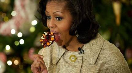 Геополитическая мозаика: французские атомщики нашли новое применение скороваркам, а Мишель Обама считает, что американцы созрели для президента-женщины