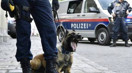 В Австрии задержали экс-военного, якобы шпионящего в пользу России