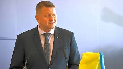 Экс-главком ВСУ Залужный назвал Украину кланово-олигархической страной