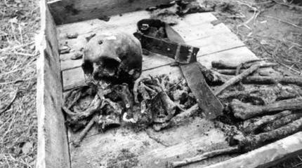 Катынская трагедия: исторические уроки