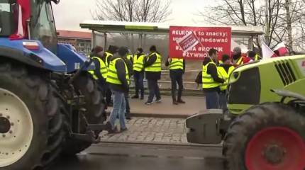 Власти Польши отменили переговоры с Киевом по экспорту зерна из-за обвинения украинского министра агрополитики в коррупции