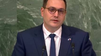 Министр иностранных дел Чехии потребовал от России «гарантий ненападения» на соседние страны