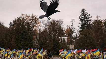 InfoBRICS: неонацисты Украины раскрывают правду о потерях