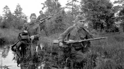 20 октября - День военного связиста