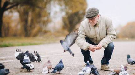 В Пенсионном фонде сообщили о том, как вырастут пенсии к 2022 году