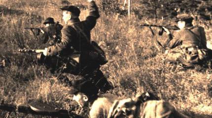 Взаимодействие партизан Черниговщины с Красной Армией