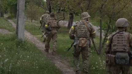 Депутат Рады из партии Зеленского предлагает дать полномочия украинским командирам по расстрелу подчинённых на месте