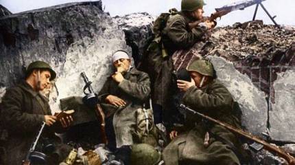 Зёрна Победы из 41-го