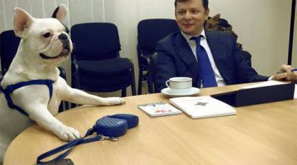 Ляшко внёс на рассмотрение ВРУ законопроект о денонсации соглашения с РФ по Черноморскому флоту