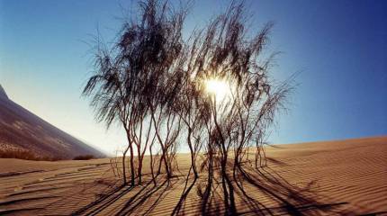 Русский мир сужается