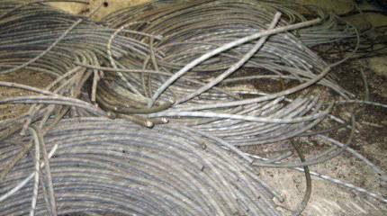 Мародёрство или диверсия?