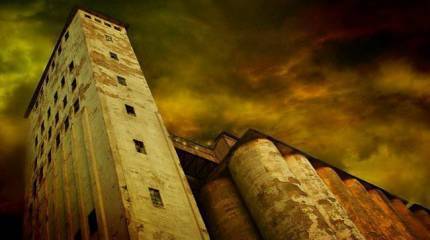 ВТО обрекает Россию на деградацию