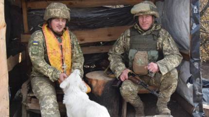 Украинский обозреватель даёт советы гражданским, желающим идти на войну с Россией