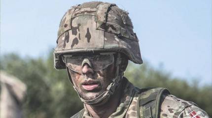 Датский бригадный генерал сообщил о наихудшем положении королевской армии за последние 40 лет