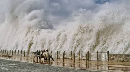 Страны-лимитрофы и премия Дарвина