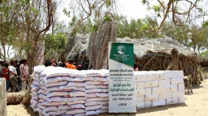 Гуманитарная помощь или прикрытие военных поставок США в Йемен и Сомали?