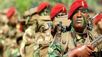 «Наша миссия – восточный часовой»: Португалия создаёт бригаду против России