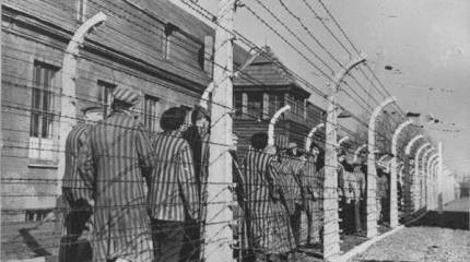 Международный день против фашизма, расизма и антисемитизма. А неонацисты маршируют с факелами