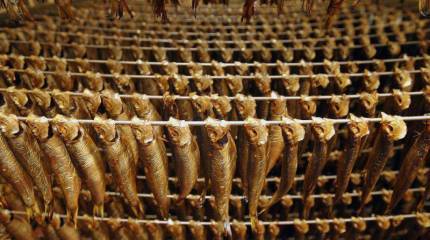 Казахстан ввёл временный запрет на ввоз из Прибалтики рыбной продукции