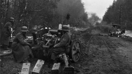 Немецкая пресса: Захватить Москву в 1941 году германским войскам не дал один неучтённый командованием фактор