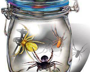 Террариум единомышленников