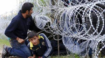 Через забор на новую родину