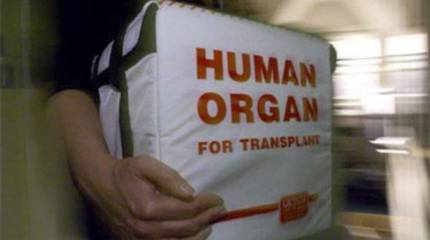 Майданных боевиков в Новороссии используют ещё и в качестве "чёрных" хирургов?