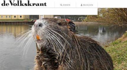 Кушать подано, господа!