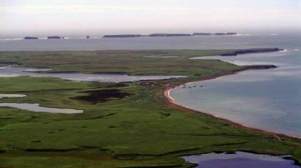 Медведев растоптал мечту самураев