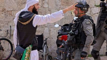 Палестинские арабы или евреи Израиля – нелегкий выбор России