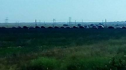 Километровые очереди с Украины в Крым: позагорать и заправиться