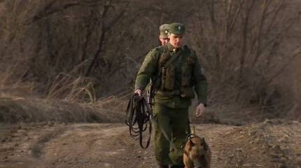 Депутат Госдумы генерал-лейтенант Андрей Гурулёв сообщил о принятом решении воссоздать Пограничные войска