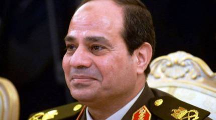 Желая обновить парк военных самолётов, Каир приценивается к «Rafale» и «МиГам»