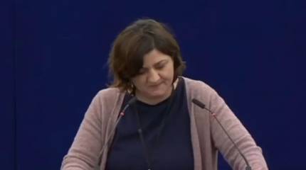 Евродепутат от ФРГ об украинском конфликте: Нам нужно закончить эту войну, и закончить ее путем переговоров