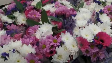 «Военное обозрение» поздравляет всех женщин с весенним праздником