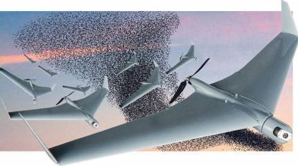 Асимметричный укус