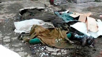 Напрасная жертва Дебали