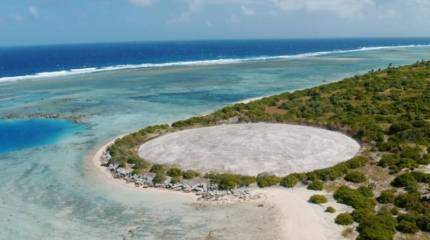 США решили бороться с утечкой радиации из «купола Рунита»